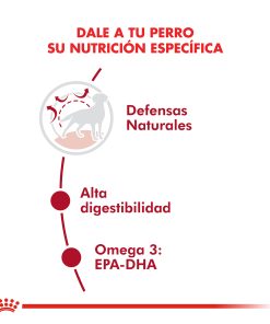 Alternative view of Royal Canin Medium Adult x 15Kg