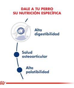 Alternative view of Royal Canin Maxi Adult x 15Kg