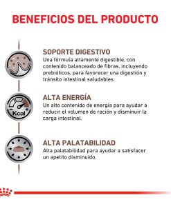 Alternative view of Royal Canin Gastrointestinal Feline x 2Kg