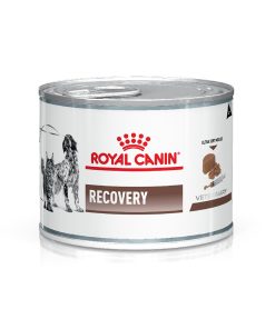 Royal Canin Recovery Latas 12x195gr