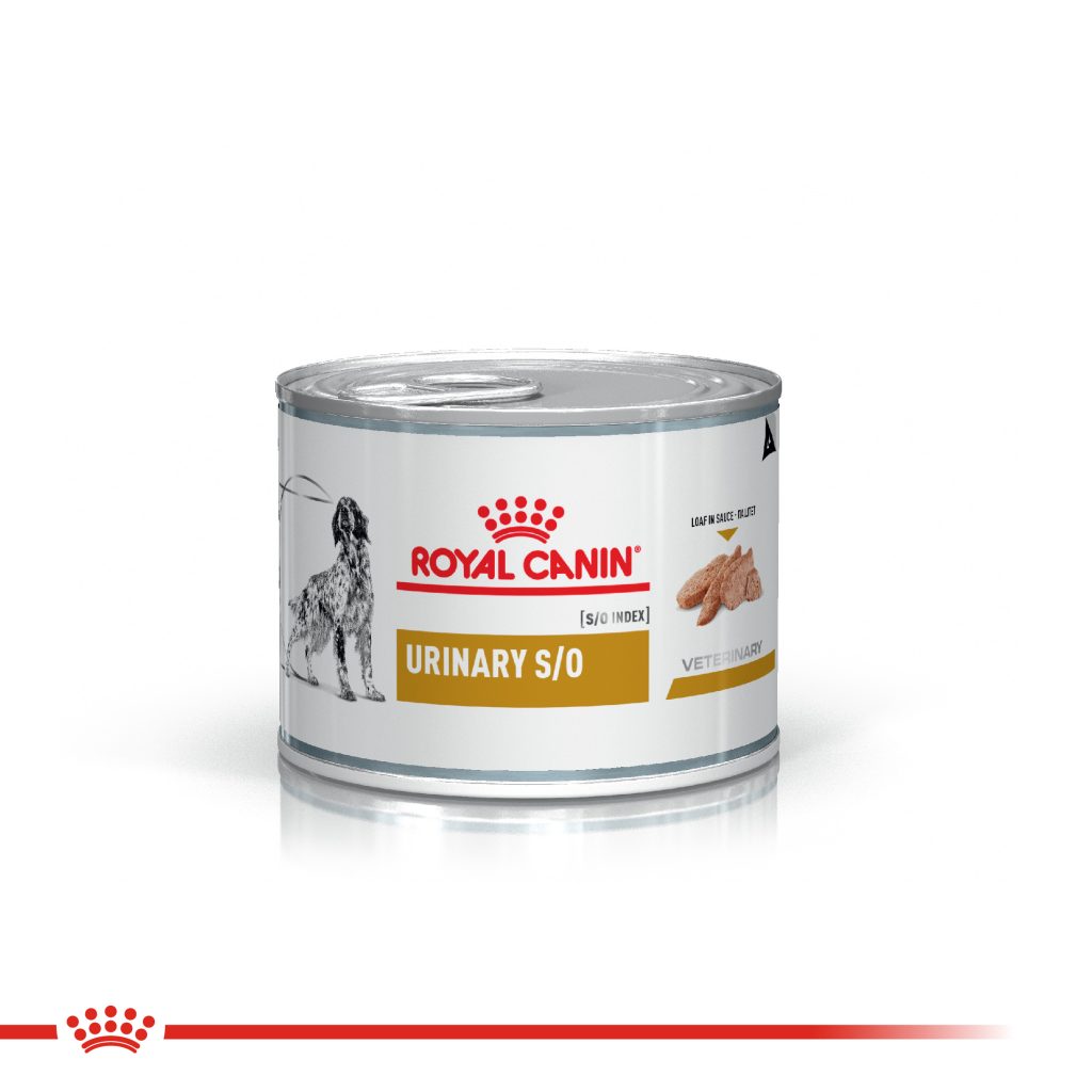 Royal Canin Urinary SO Canine Lata 6x200gr Nutrega Córdoba