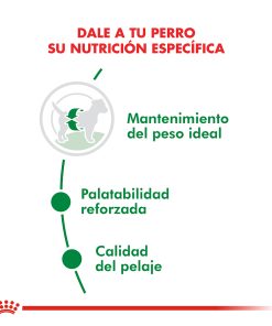Alternative view of Royal Canin Mini Adult x 7,5Kg