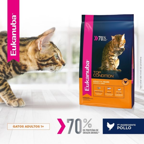 Eukanuba Gato Adulto Top Condition x 7.5kg - Image 3