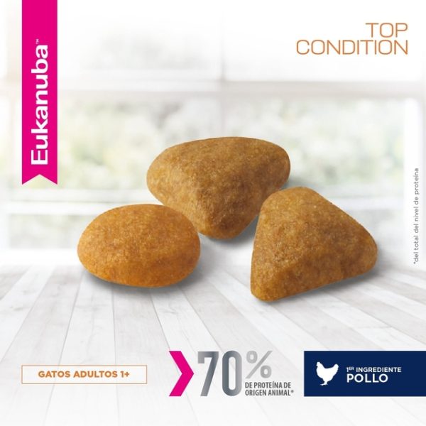 Eukanuba Gato Adulto Top Condition x 7.5kg - Image 6