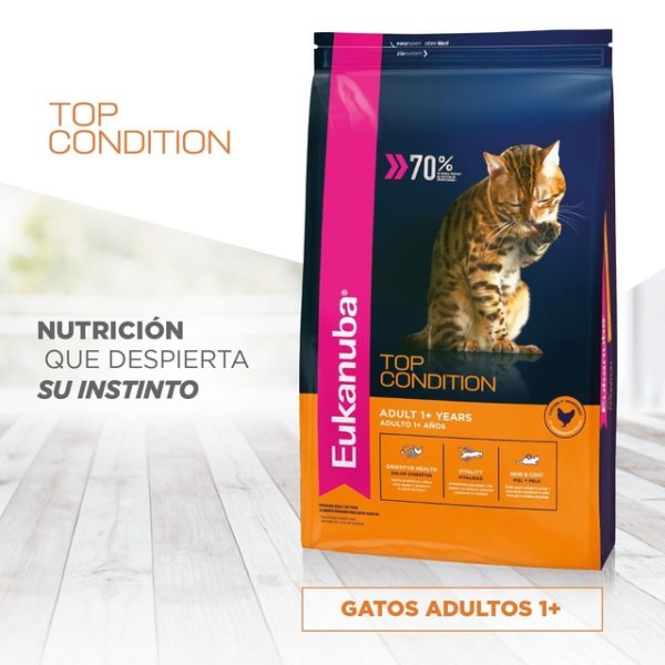 Eukanuba Gato Adulto Top Condition x 7.5kg - Image 2