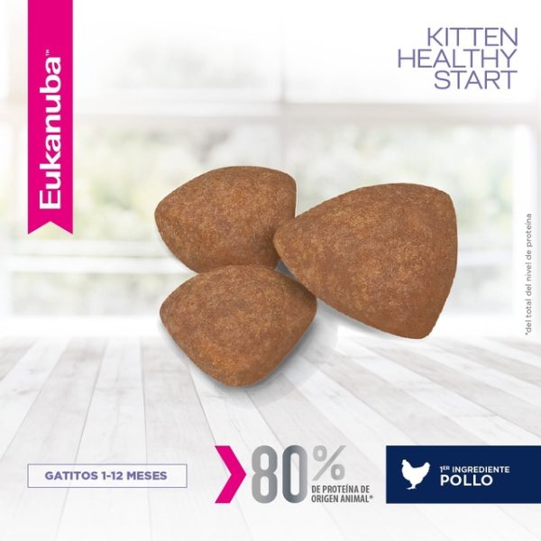 Eukanuba Kitten Healthy Start x 7.5kg - Image 6