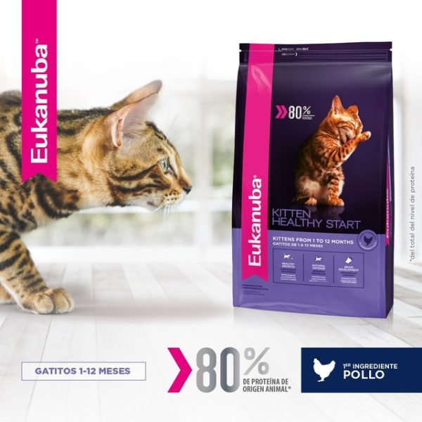 Eukanuba Kitten Healthy Start x 7.5kg - Image 3