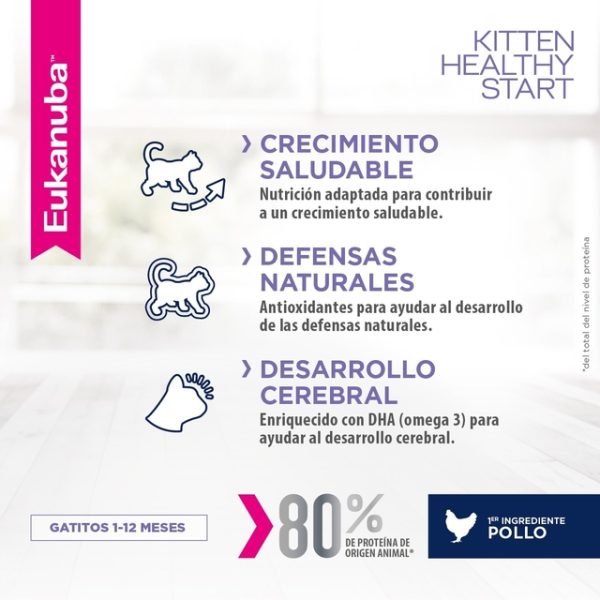 Eukanuba Kitten Healthy Start x 7.5kg - Image 4