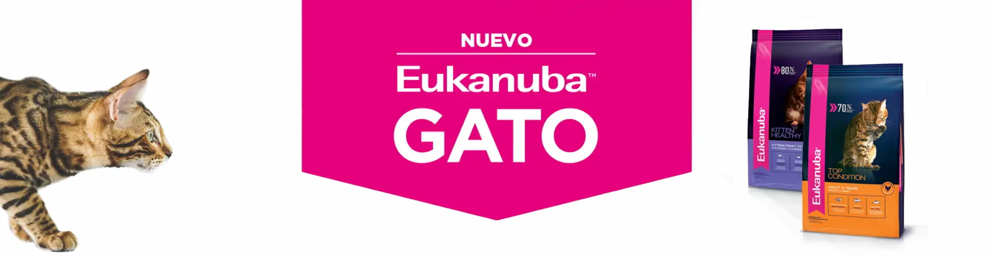 Alimento Eukanuba Gatos Kitten y Top Condition para gatitos y gatos adultos en Córdoba