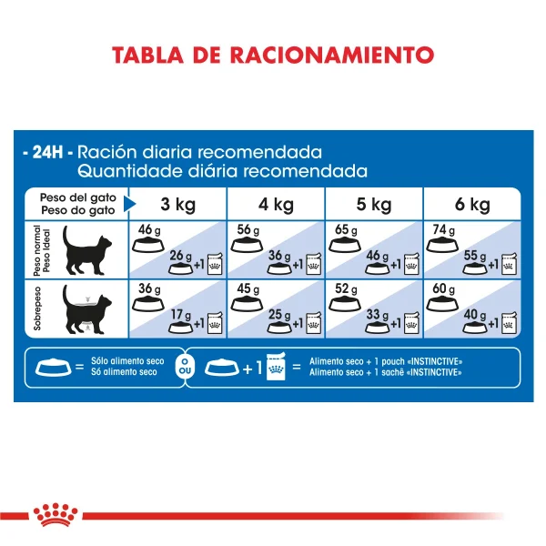 Royal Canin Indoor - Gato Adulto - Image 6