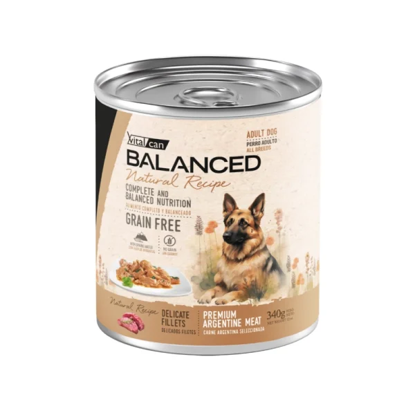Balanced Natural Recipe Delicados Filetes Carne Perro Adulto 340Grs x 12Uds